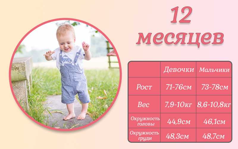 Развитие ребенка в 8 месяцев: что должен уметь делать, нормы роста и веса малыша, питание и режим дня