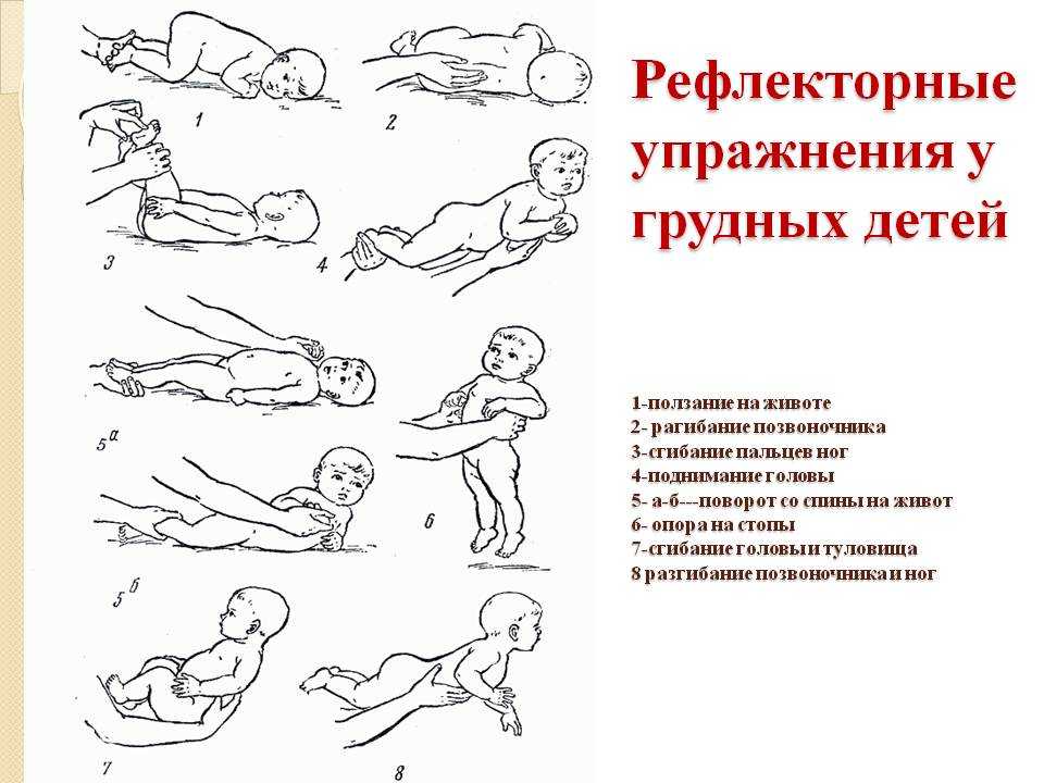 Гимнастика для ребенка 5-6 месяцев