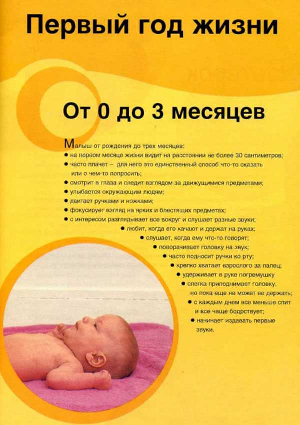 Ребенок в  2.5 года / календарь развития ребенка