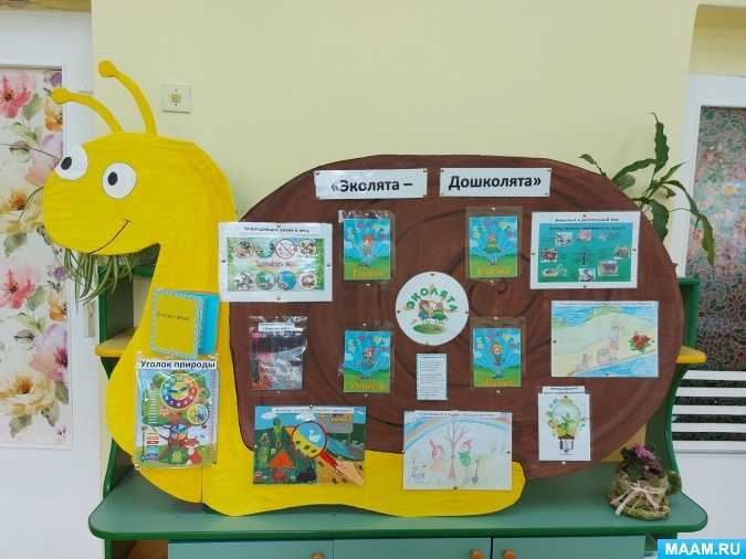 Программа по экологическому воспитанию «молодые защитники природы» для детей дошкольного возраста 5-6 лет