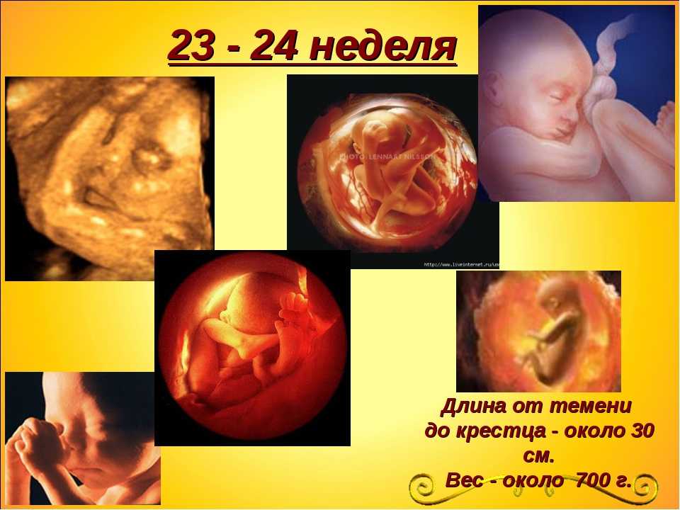 Шевеление ребенка при беременности в 25 недель! - страна мам